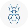 Ant Removals In Belfast