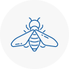 Bee Nest Removal Belfast