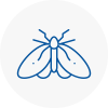 Moth Control Specialists In Belfast